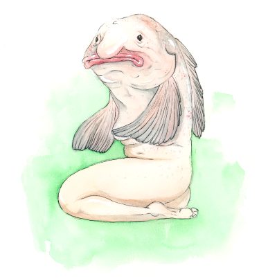 A Few Days Ago I Posted A Reverse Mermaid And Asked For Suggestions. Many Suggested That I Do A Blobfish, So Here It Is! I Am… So Sorry