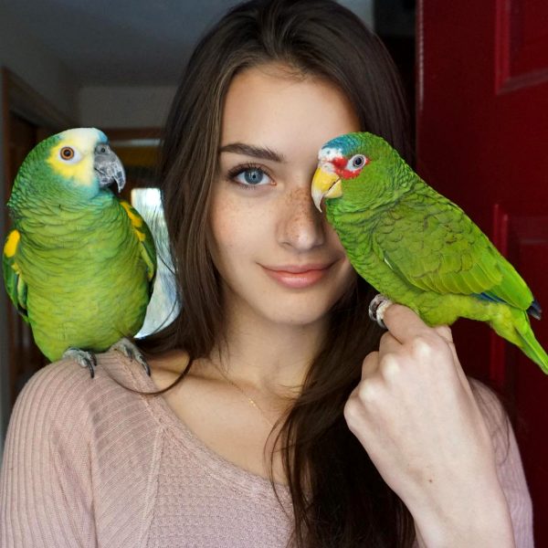 jessica-clements-american-model_003